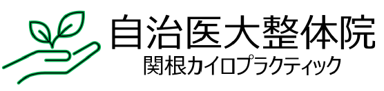 自治医大整体院　関根カイロプラクティック